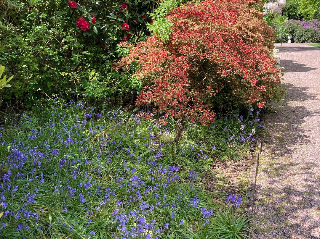 Capesthorne Hall-麦克尔斯菲尔德必去景点