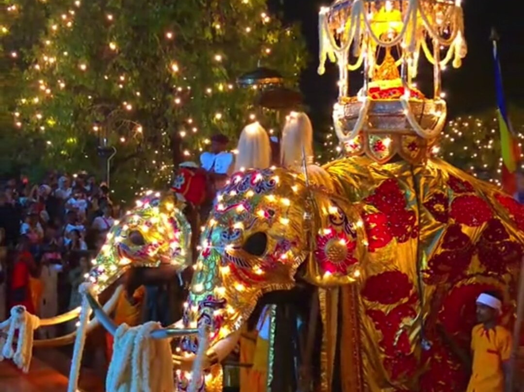 Esala Perahera Festival-康提必去景点
