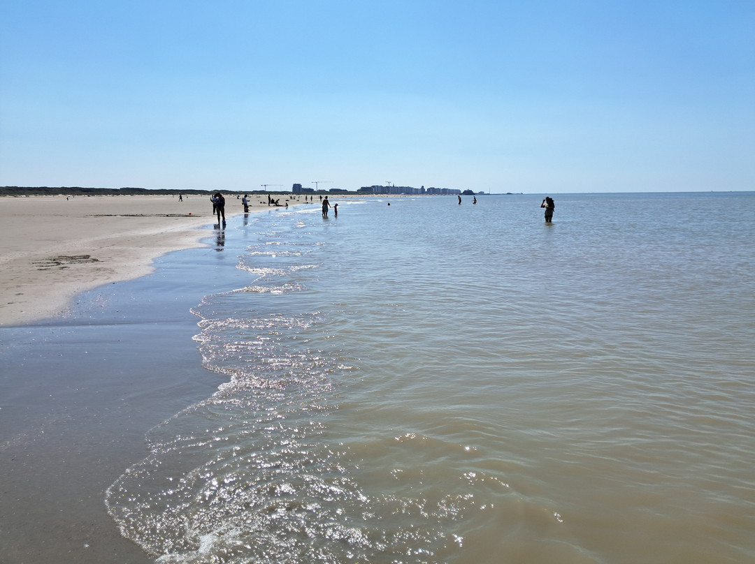 Strand Zeebrugge