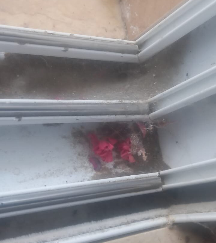 Aparthotel Diakonis主图