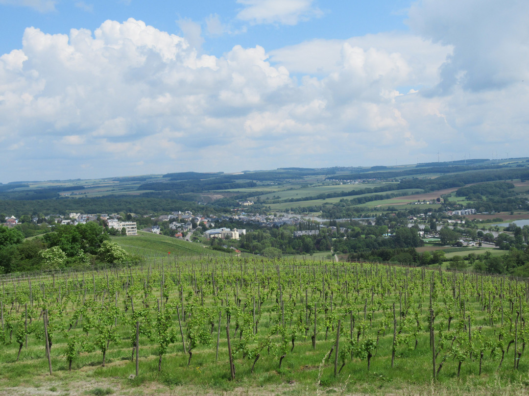 Route Du Vin-Schengen必去景点