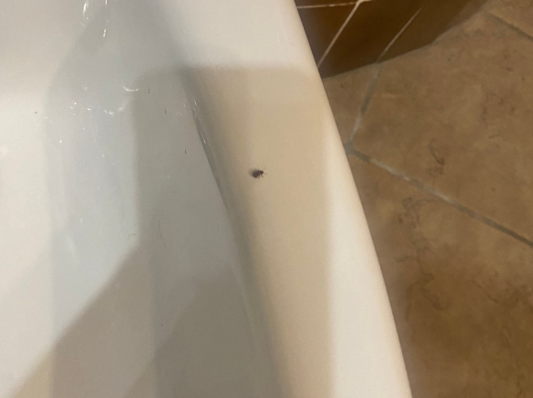 Muntaecara Albergo Diffuso主图
