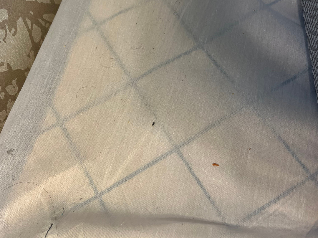 Home2 Suites by Hilton Parc Lafayette主图