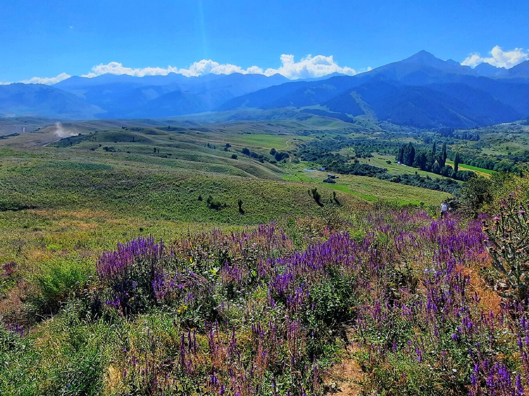 Chon-Kemin National Park景点图片