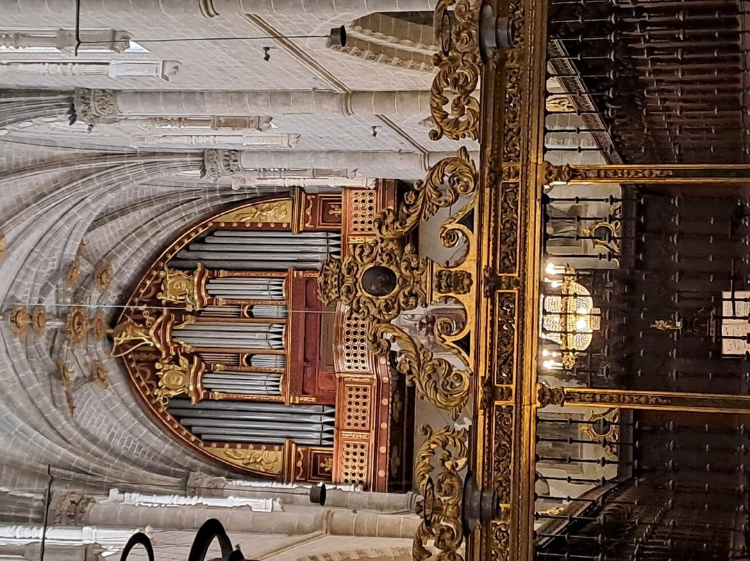 Catedral Santa María de la Huerta Tarazona景点图片