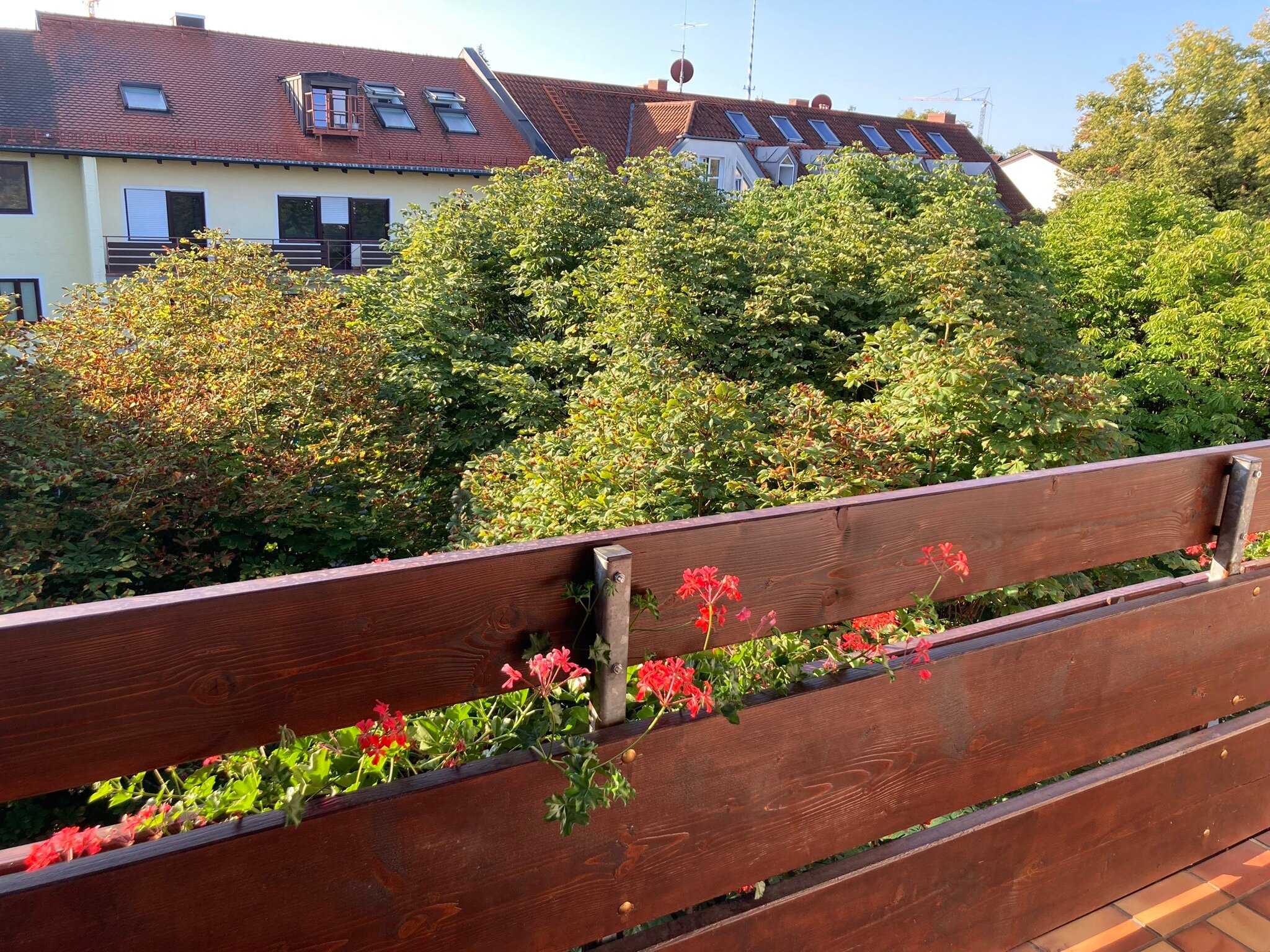 Hoelzl Appartment-Hotel-官方