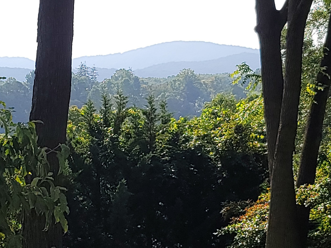 比尔特摩村旅店民宿主图