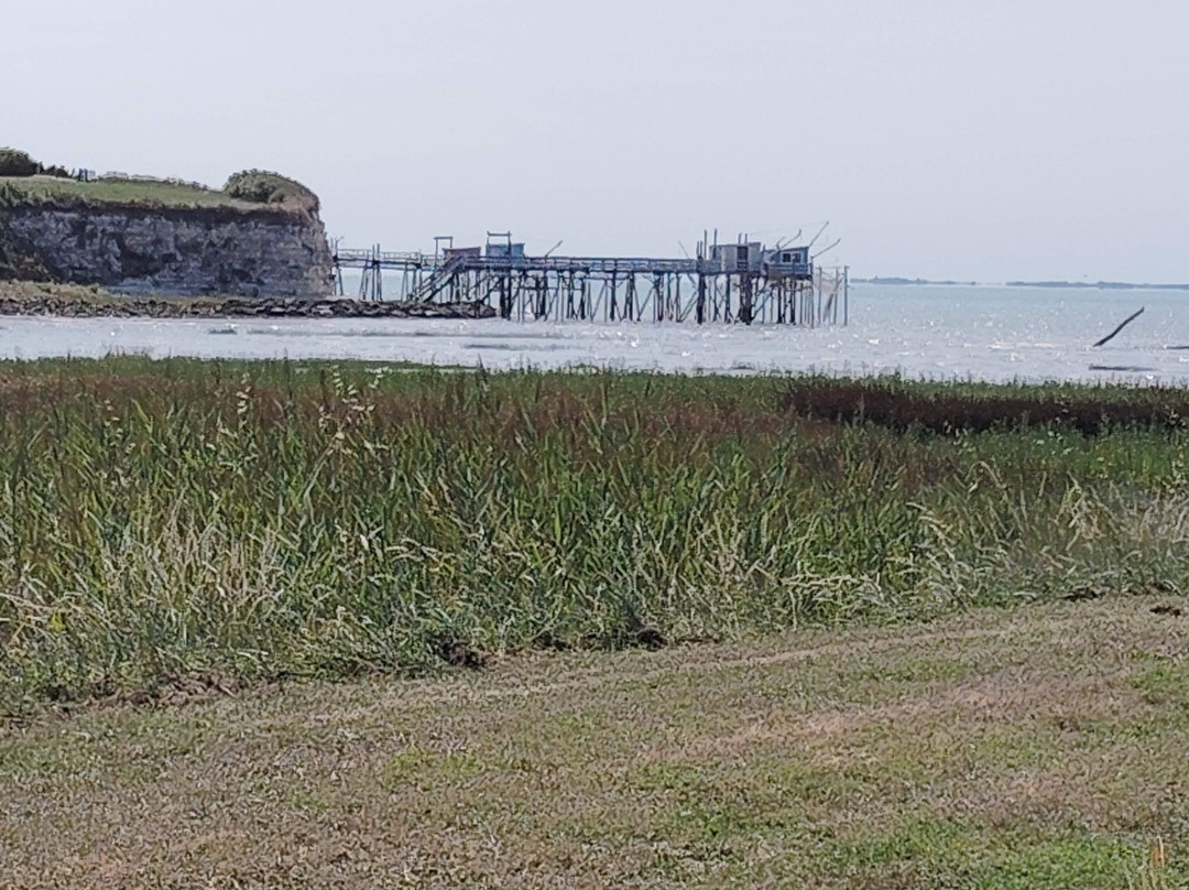 Village Fortifié De Talmont Sur Gironde景点图片