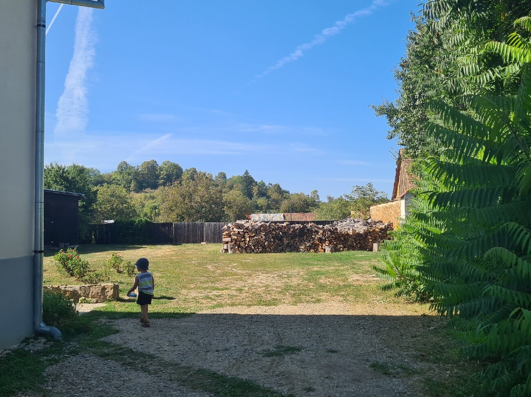 Cincsor Transylvania Guesthouses主图