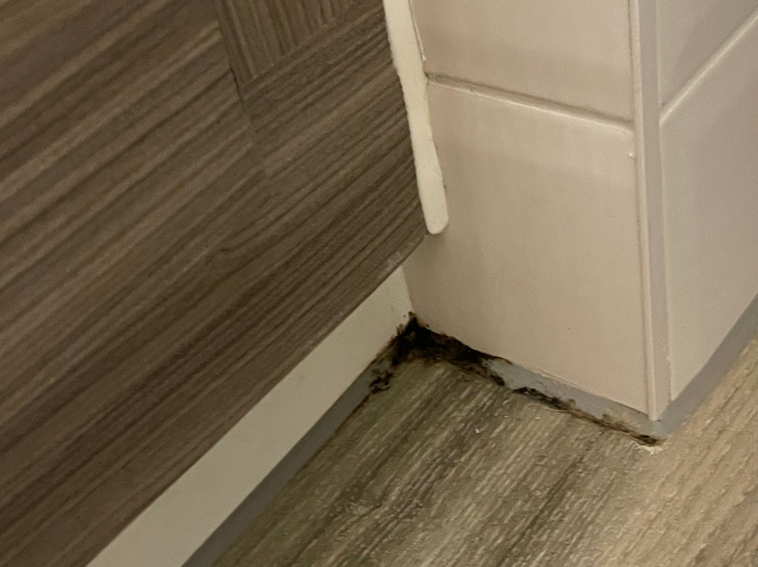 大港德维尔酒店主图