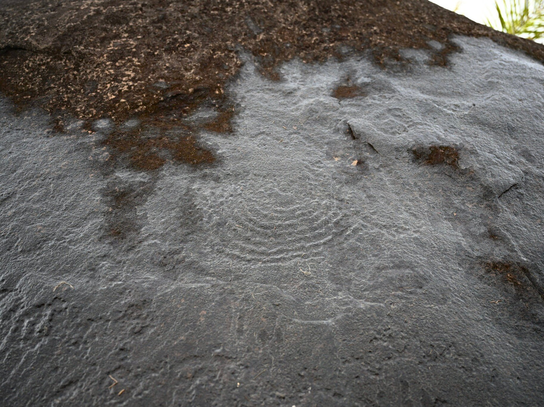 洛佩生态系统与文化遗迹景观-Lope Wildlife Reserve必去景点