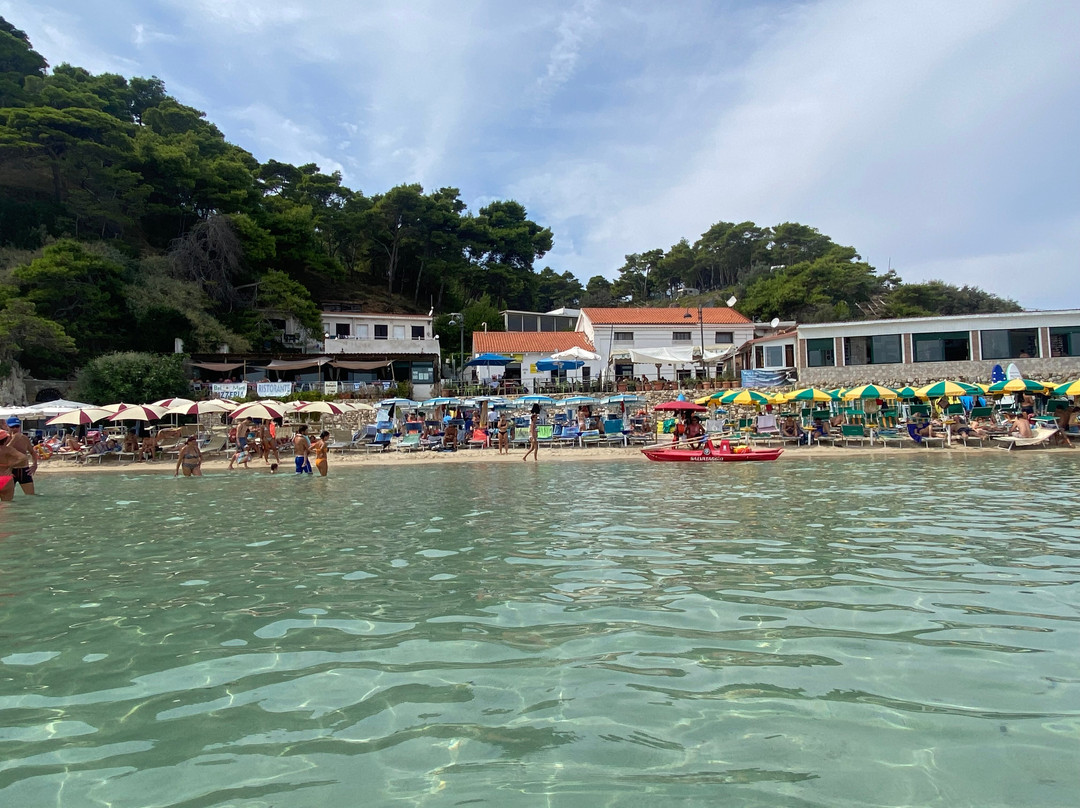 Cala delle Arene-San Domino必去景点