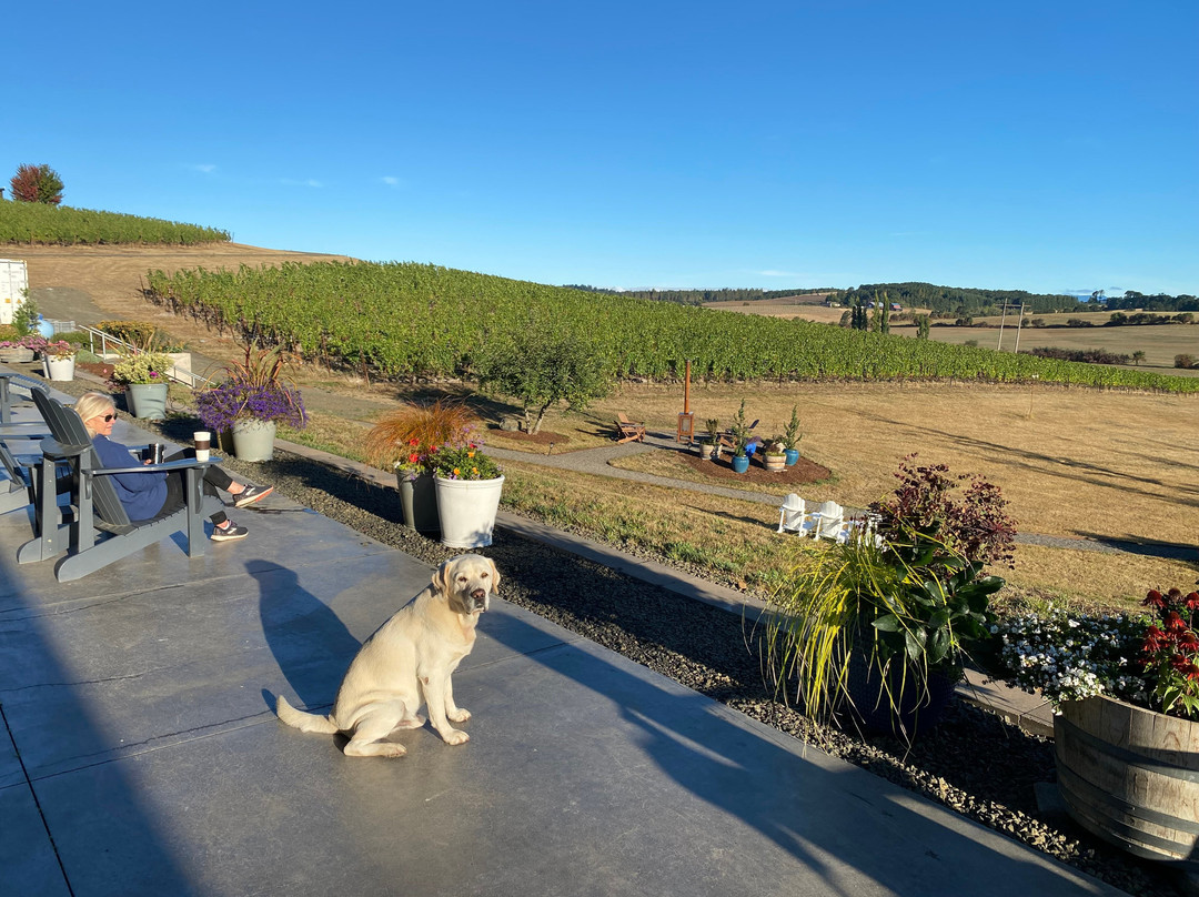 Andante Vineyard-Dallas必去景点