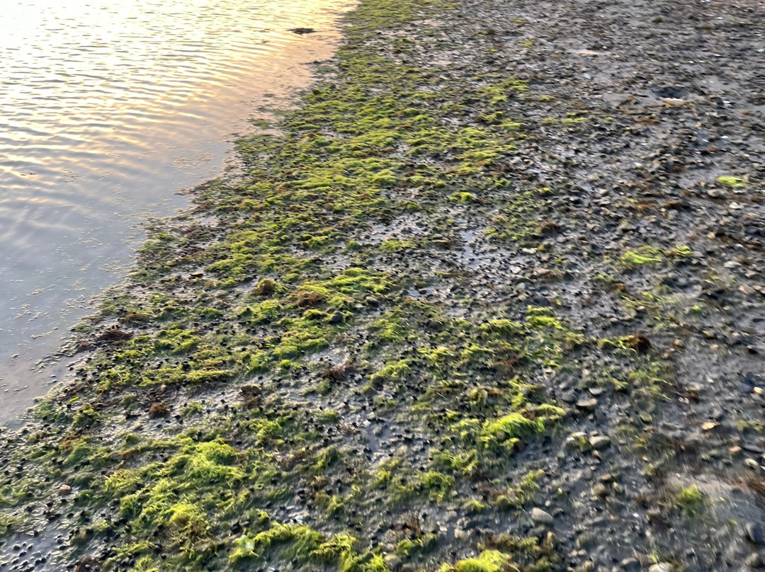 Oakland Beach-沃威克必去景点