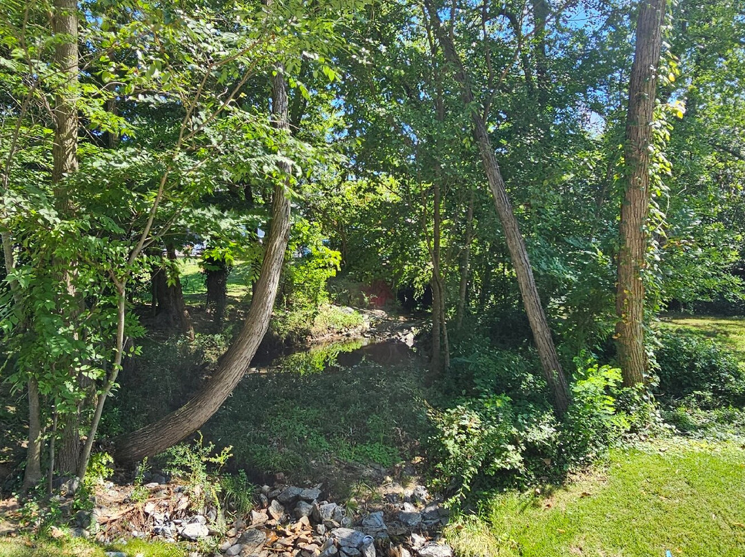 Riderwood Hills Park-陶森必去景点