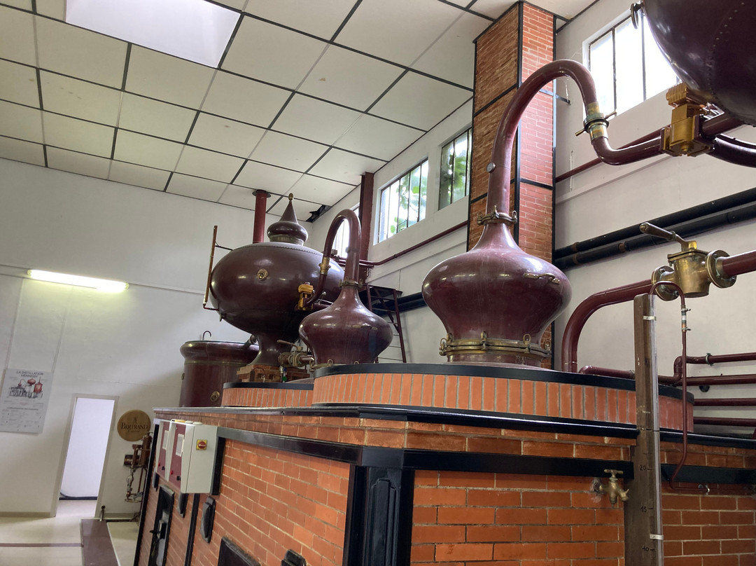 Cognac Bertrand景点图片