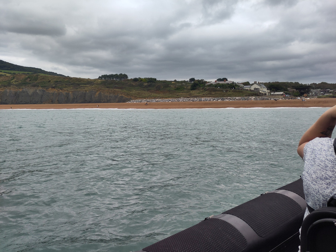 Lyme Bay Rib Charter景点图片