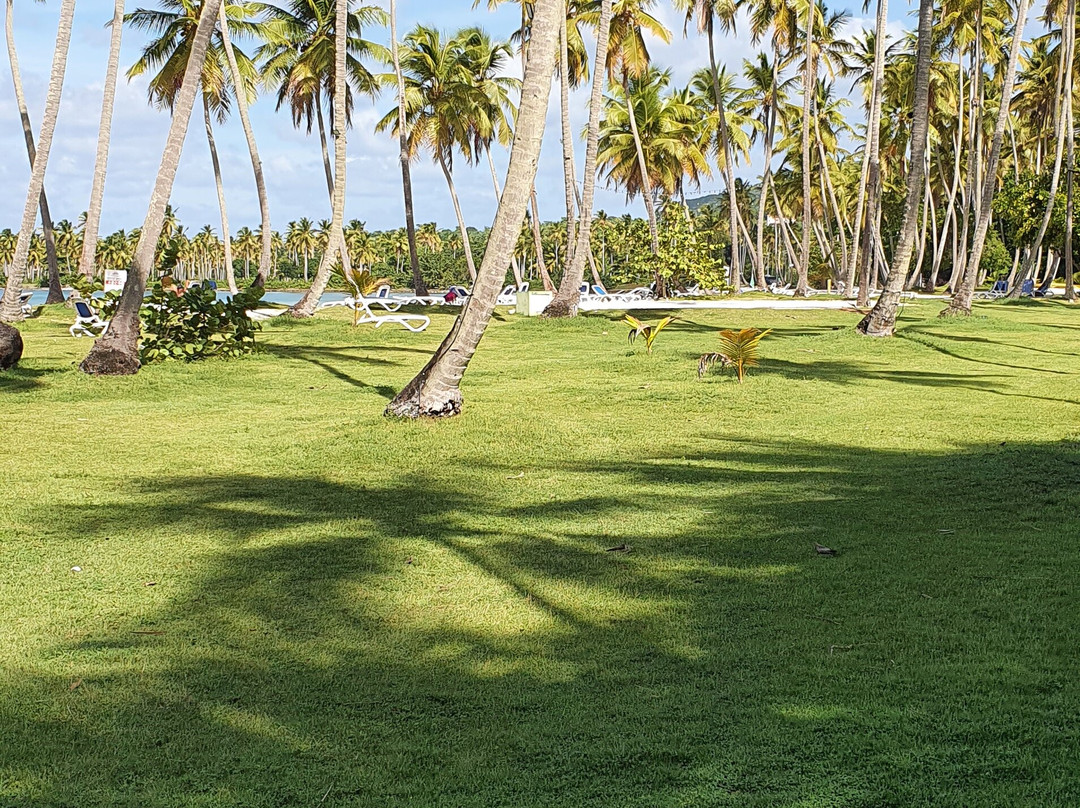 Grand Paradise Samana All Inclusive