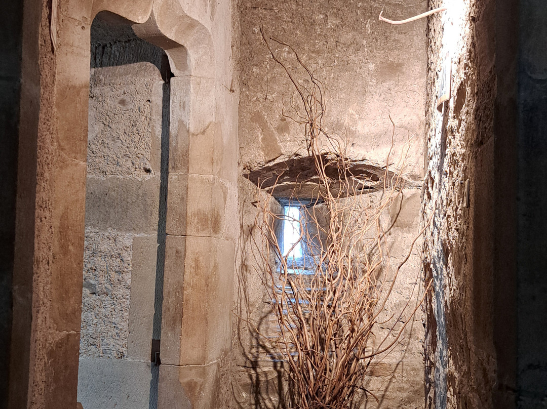 Chateau de Coupiac景点图片