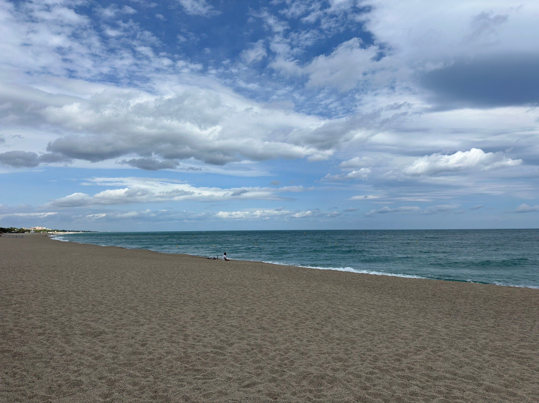 Plage Centre-滨海阿尔热莱必去景点