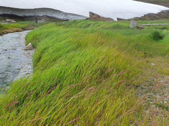 Lorinskiye (Kukunskiye) goryachiye klyuchi