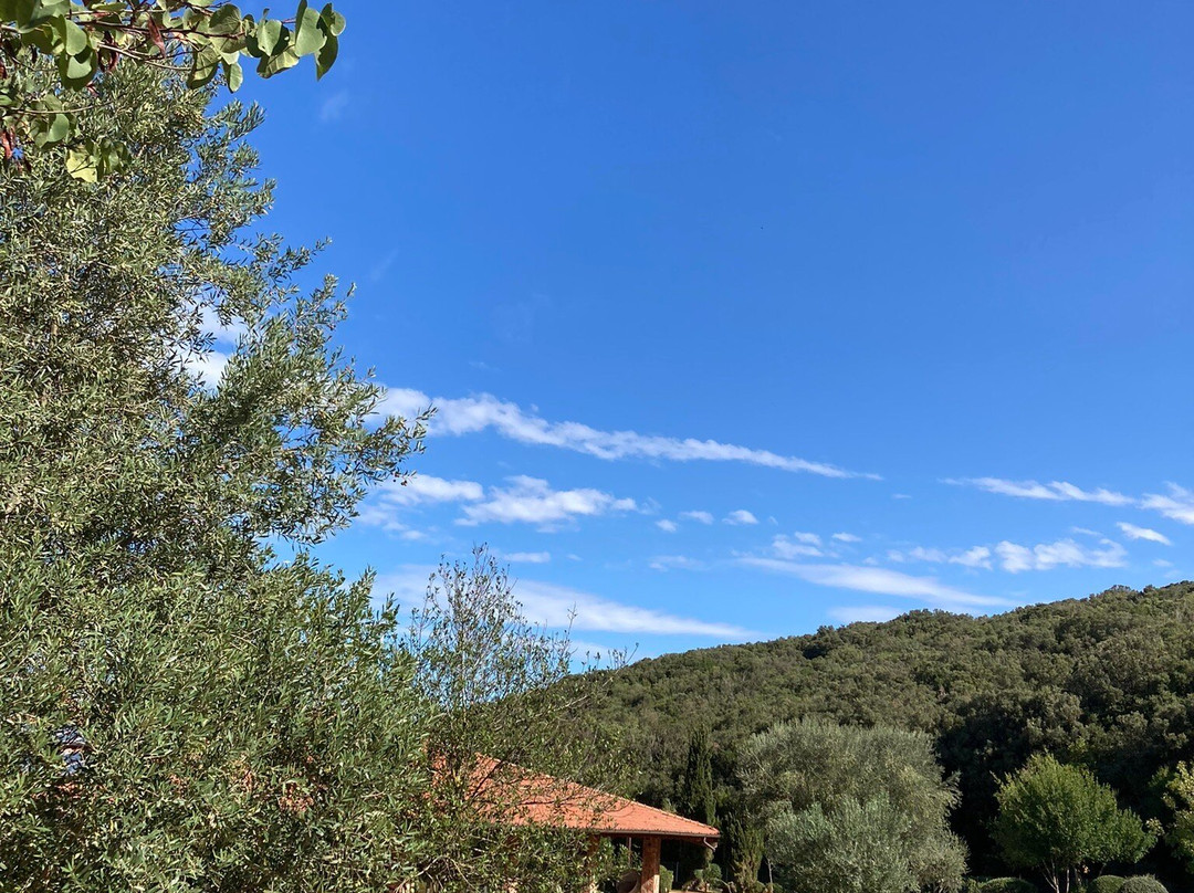 Argentario Lagoon Resort & Spa主图