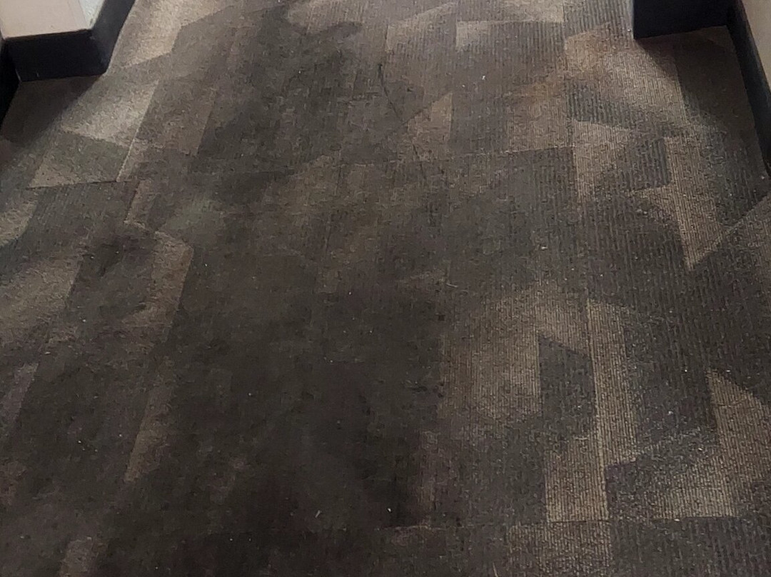 Motel 6 Cedar Rapids - Airport主图