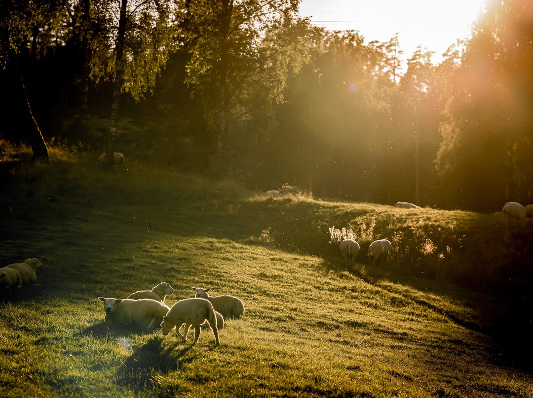 Ulkeröds Gård-Hedekas必去景点