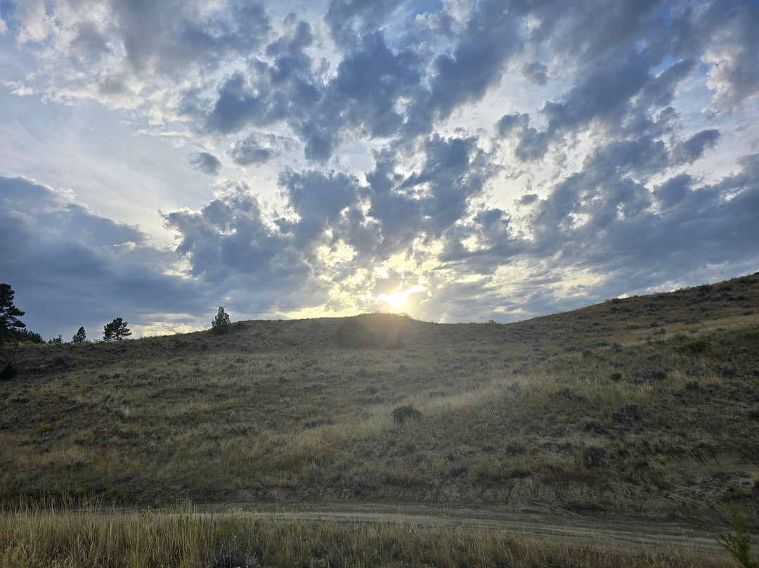 Westwind Motor Inn主图