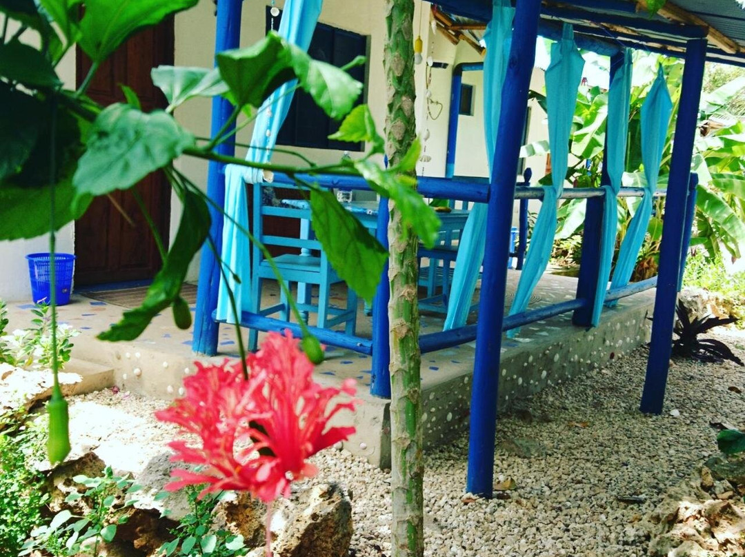 Furaha B&B Kendwa主图