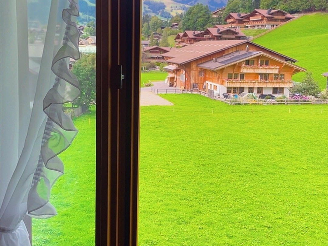 Hotel-Restaurant Alphorn主图