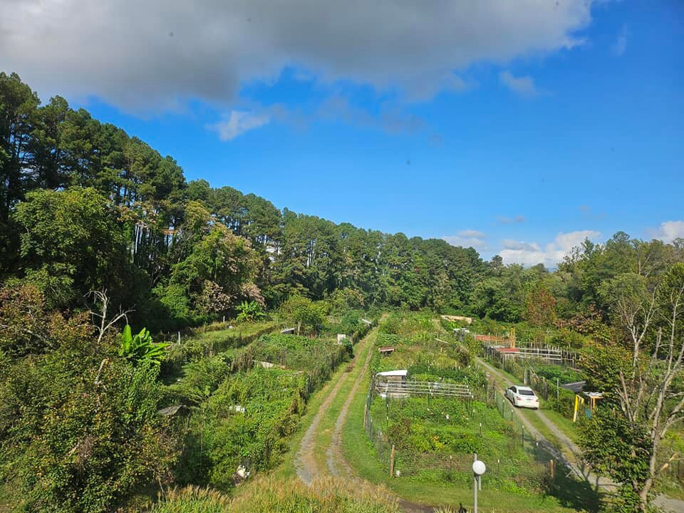 The English Inn of Charlottesville主图