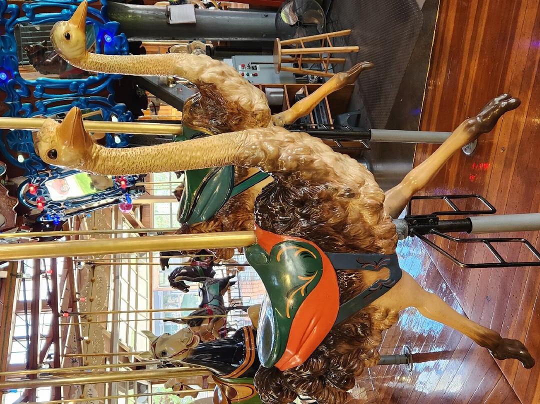 Richland Carrousel Park景点图片