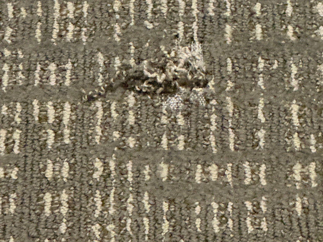 Courtyard by Marriott Wilmington Downtown主图