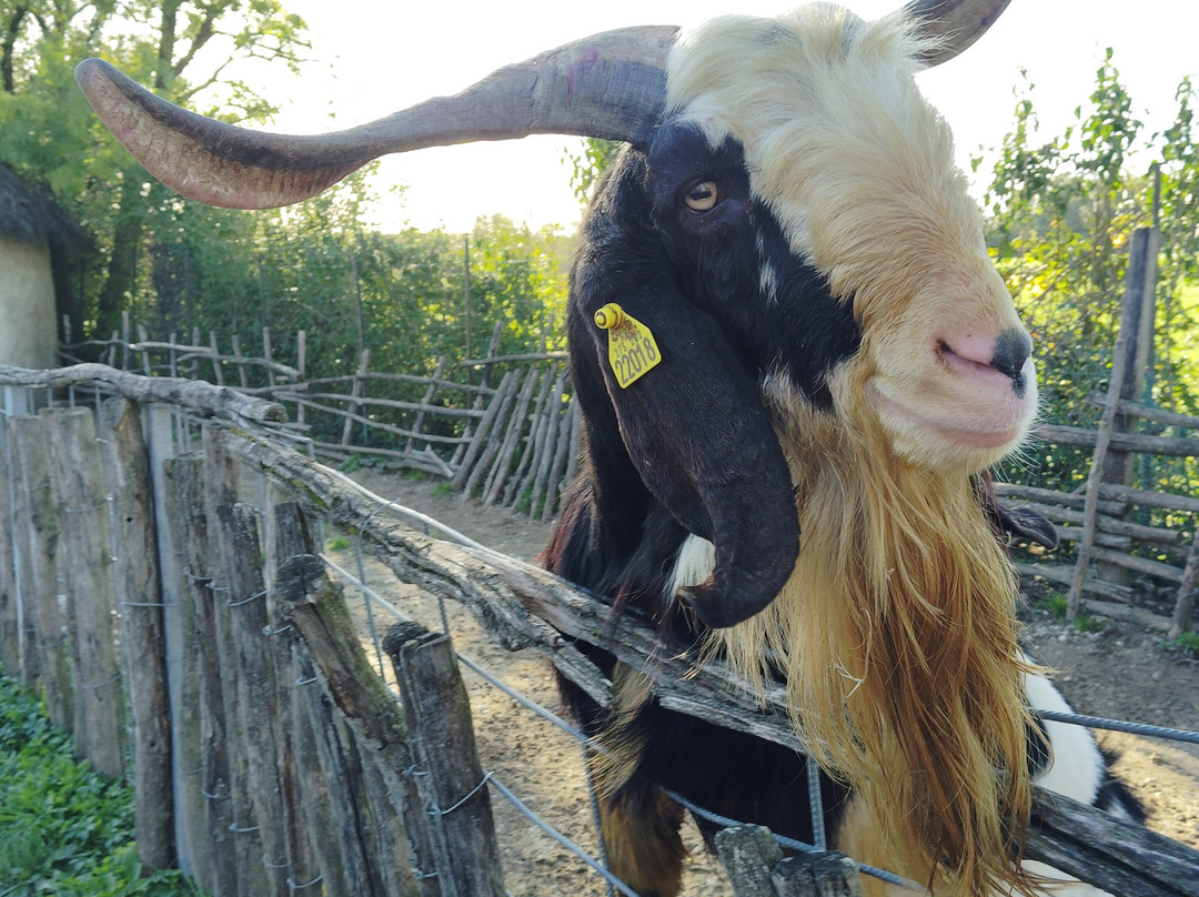 La Ferme Exotique景点图片