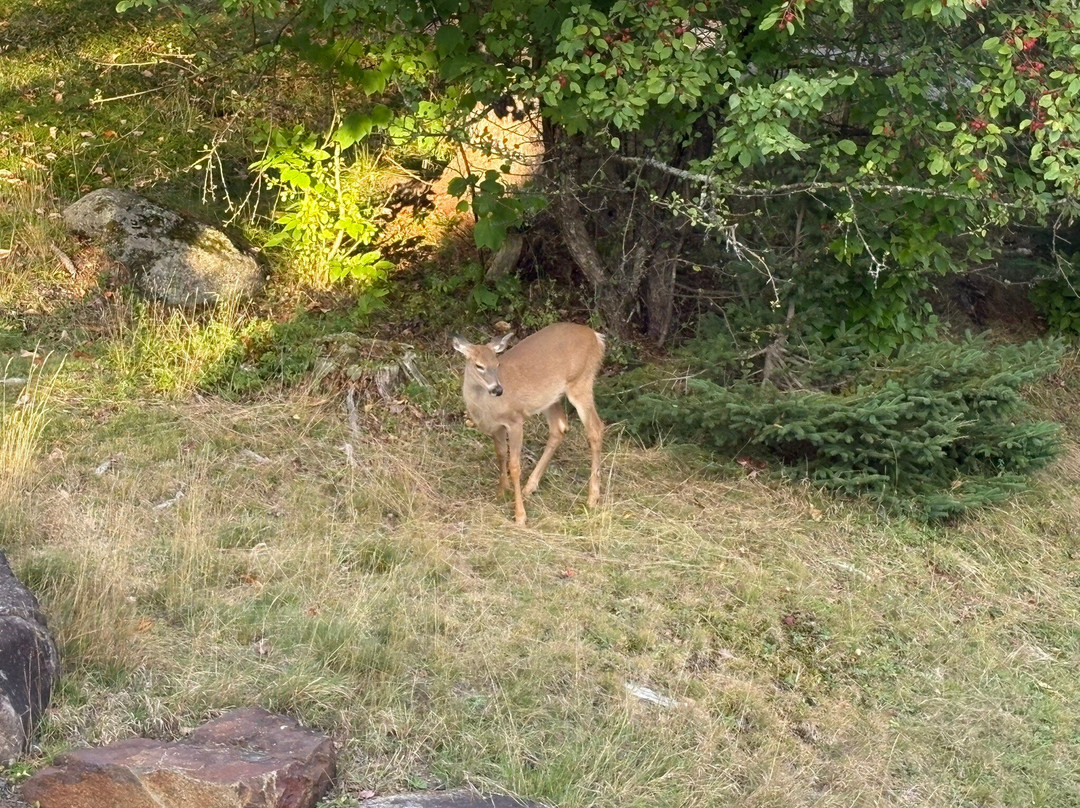 Hôtel Far Hills主图