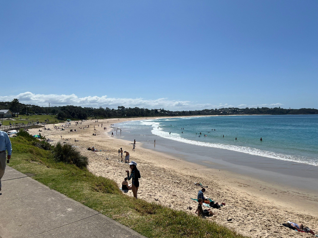Mollymook Golf Club景点图片