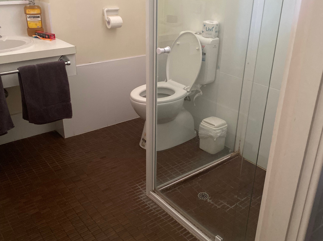 Sandpipers at Millicent主图