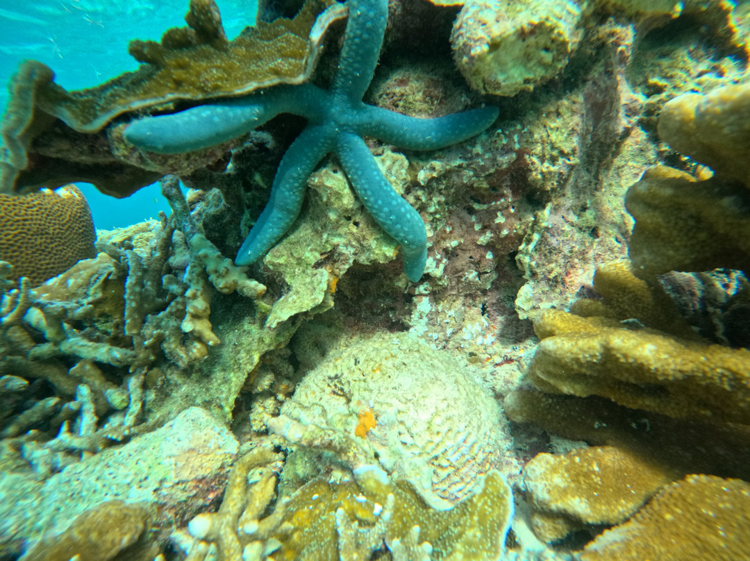 Kayafyof Homestay主图