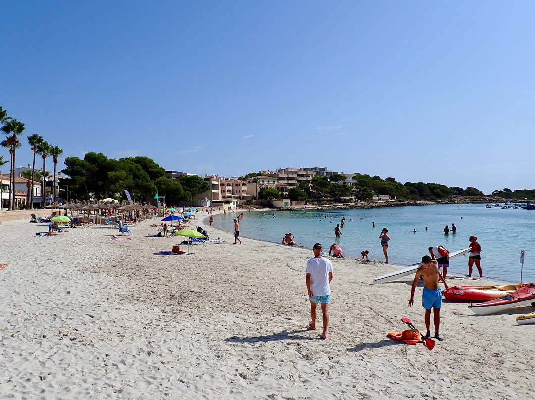 Playa Es Port景点图片