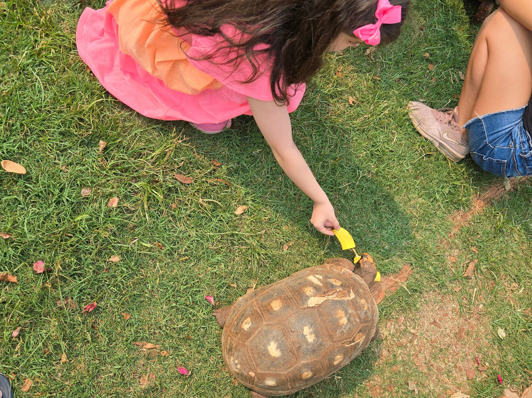 Hotel Fazenda Cliv Sol主图
