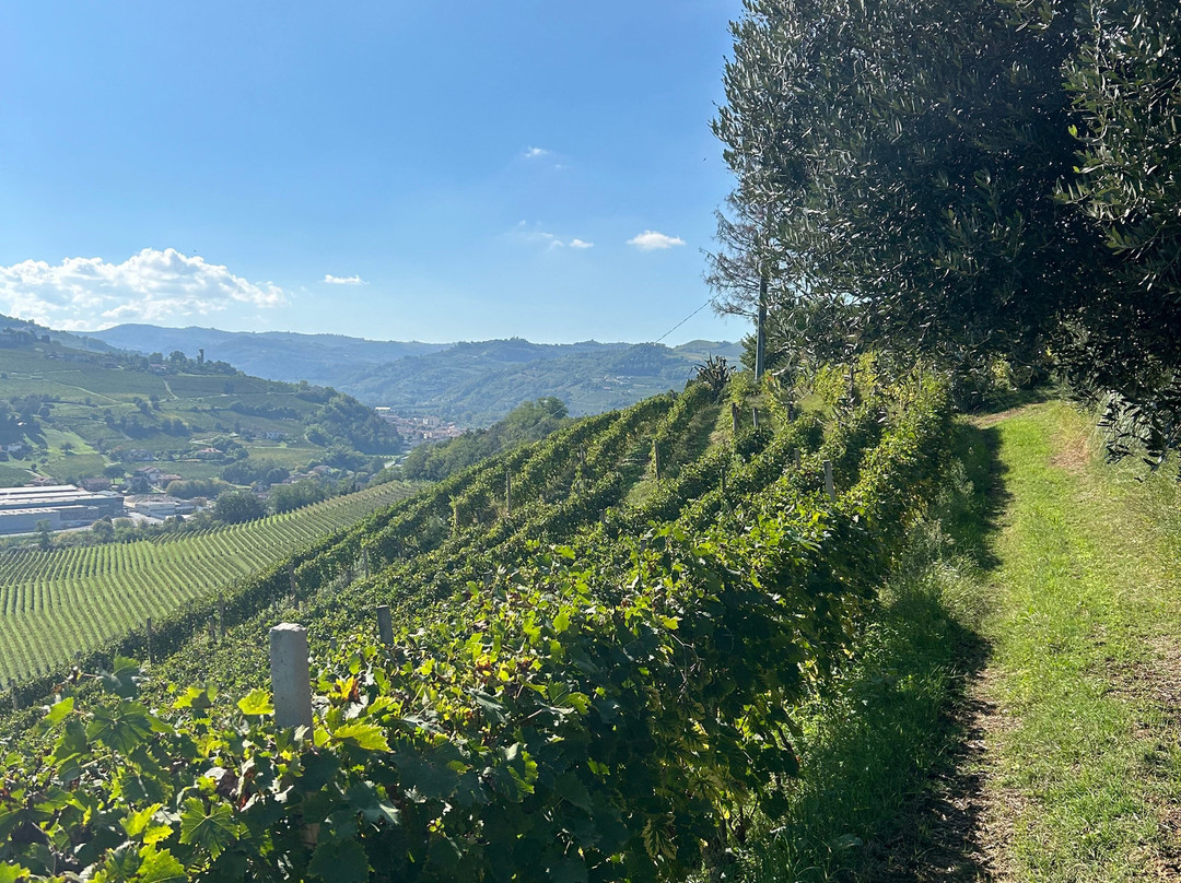 Tojo Winery景点图片