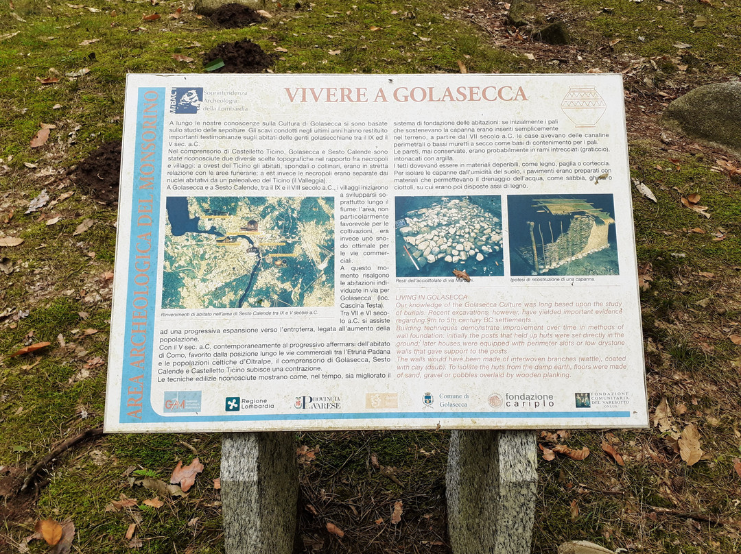 Area Archeologica Monsorino di Golasecca-Golasecca必去景点