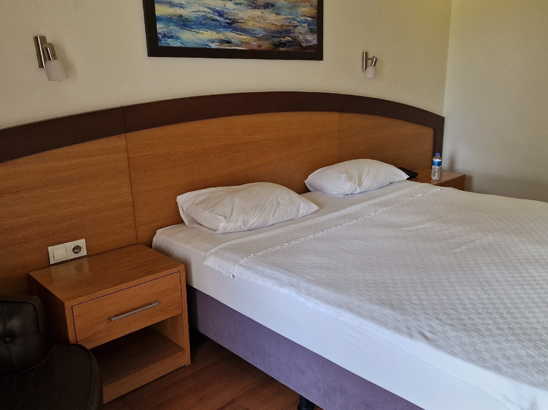 Berksoy Hotel主图
