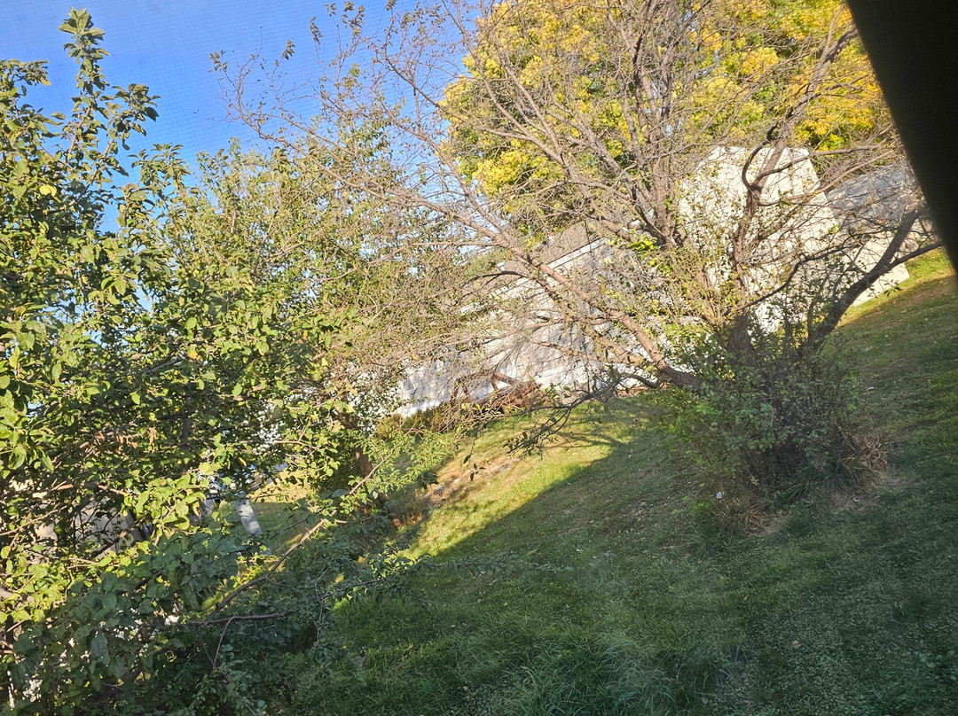 Super 8 by Wyndham North Sioux City主图