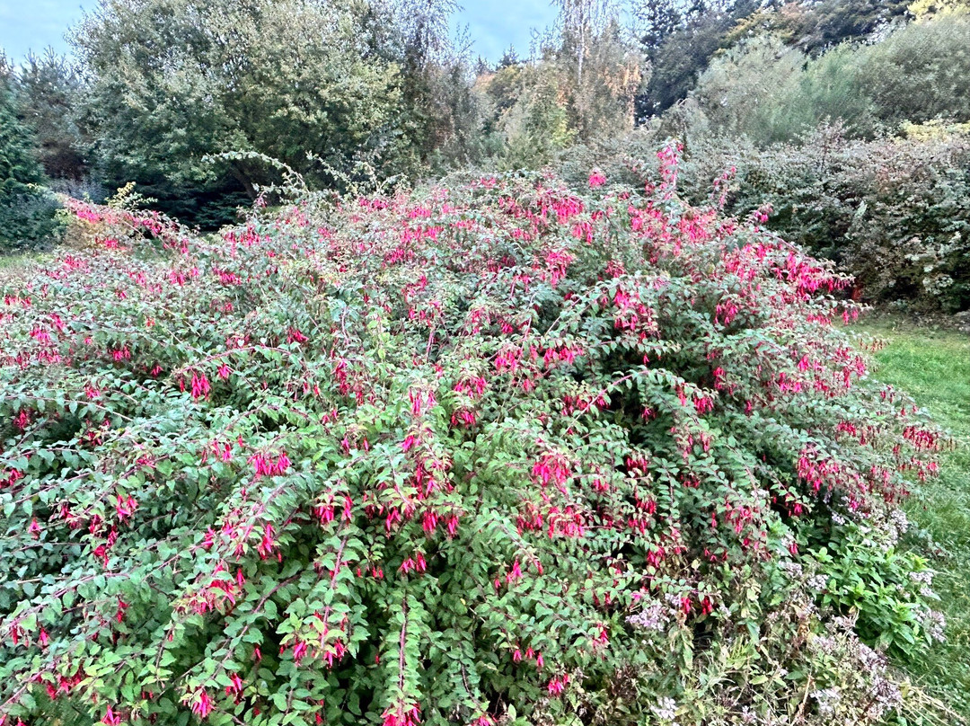 Botanical Garden Mellenthin景点图片