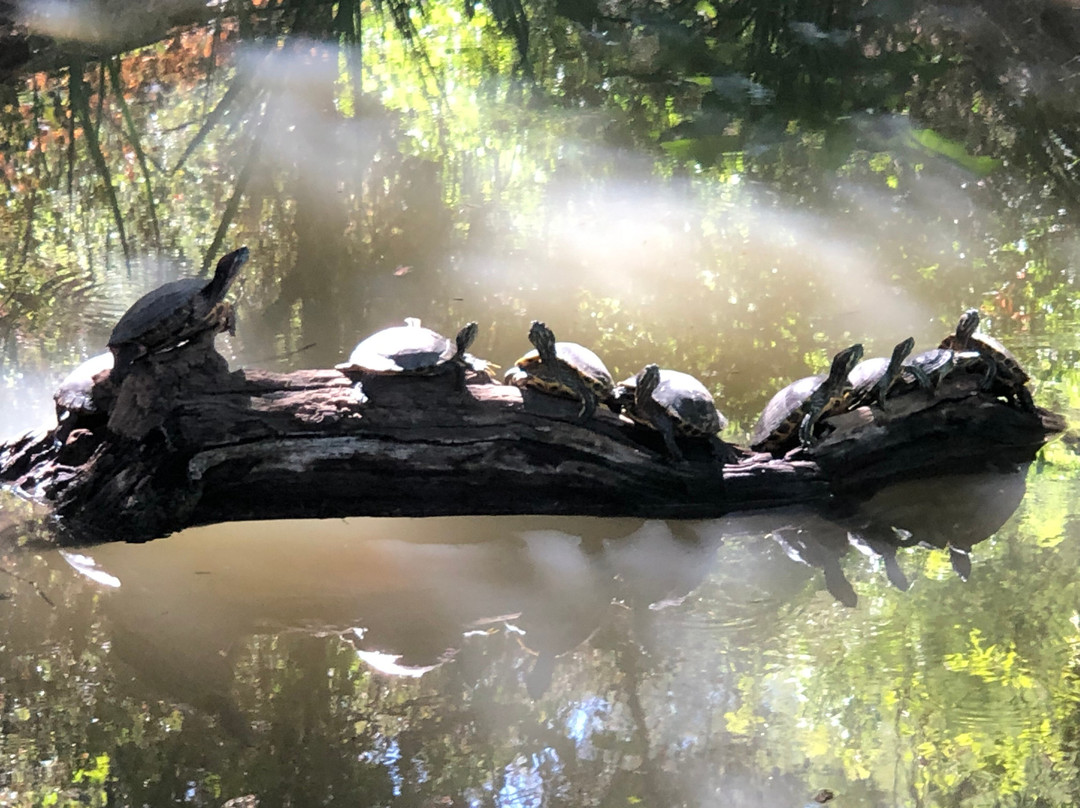 University of California Riverside Botanic Gardens-里弗赛德必去景点