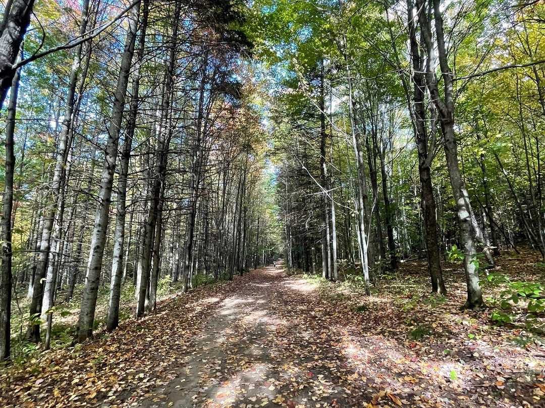 Parc du Mont Arthabaska-Victoriaville必去景点