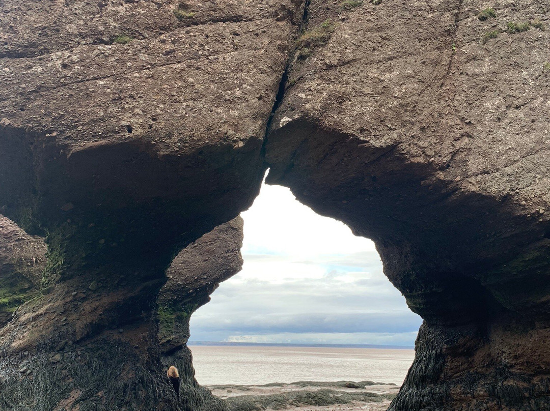 Innisfree Bed and Breakfast Hopewell Rock主图