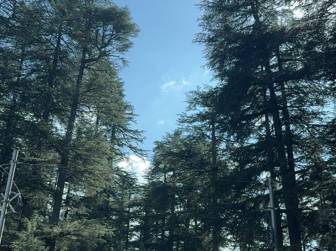 Grand Krisa Resort And Spa主图